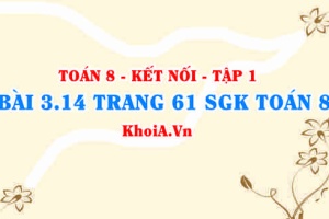 Bài 3.14 trang 61 SGK Toán 8 tập 1 Kết nối tri thức